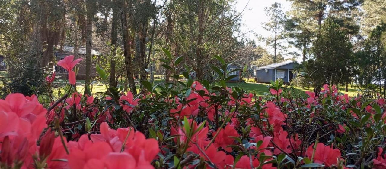 Hotel Las Azaleas Jardín América Dış mekan fotoğraf